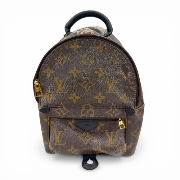 Louis Vuitton Handbags - Louis Vuitton Palm Springs Mini Backpack Monogram Auth